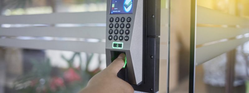 estilop strip full x